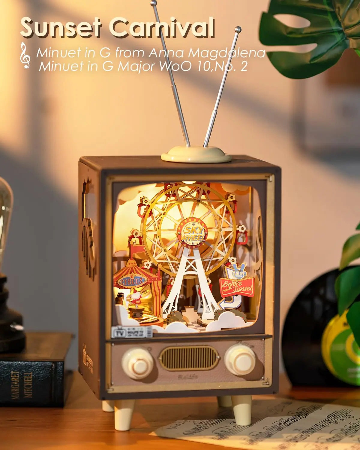 3D Wooden Puzzle Music TV
